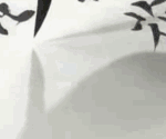 31447_yyd4_1985.gif